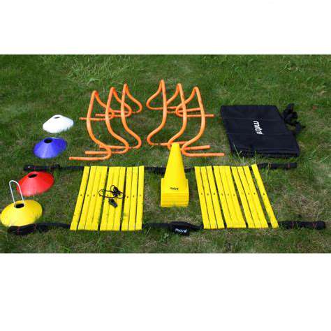 ChoosingtheRightAgilityTrainingEquipment