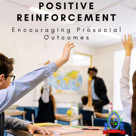 CraftingPositiveExperiences:ThePowerofPositiveReinforcement