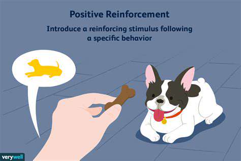 PositiveReinforcementTraining:ShapingDesiredBehaviors