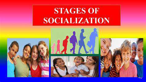 TheImpactofPositiveSocializationonAdultCanineBehavior