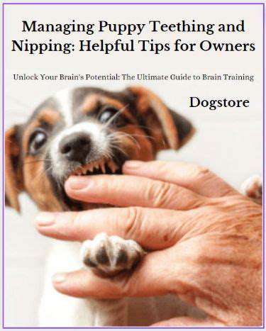 TheTeethingandBiteInhibitionPeriod:ManagingPuppyNipping