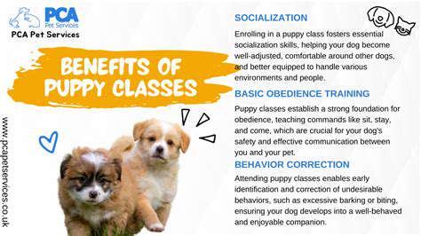 Puppy Socialization Classes: Meeting New Friends and Dogs