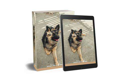 Safety First: Essential Considerations for Off Leash Training