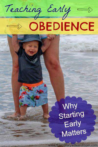 The Importance of Early Foundations: Basic Commands for Lifelong Good Behavior