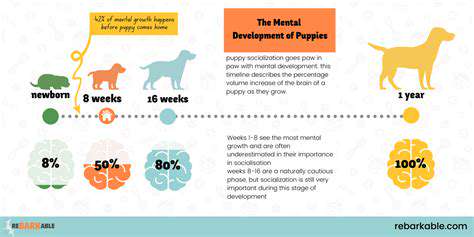 MaximizingtheBenefitsofPuppySocializationClasses:Long-TermImpact