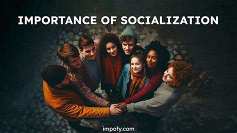 MeetingNewFriends:TheImportanceofSocialization