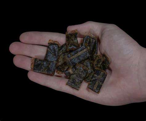 Creating a Safe and Chew Proof Environment for Your Dog