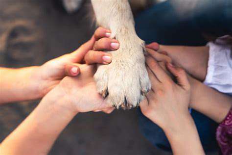 Socialization:IntroducingYourPuppytotheWorld