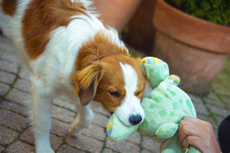 TheImportanceofConsistencyandPatienceinPuppyTraining