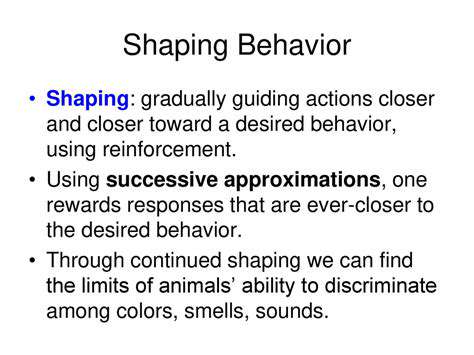 TheImportanceofPositiveReinforcement:ShapingDesiredBehaviors