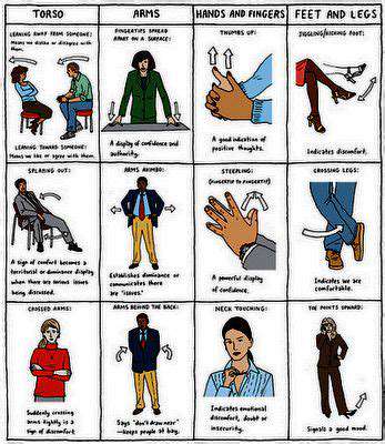 ThePowerofVisualCues:UtilizingHandSignalsandBodyLanguage