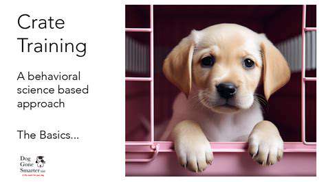 Introducing Your Puppy to Crates and Carriers with Positive Socialization