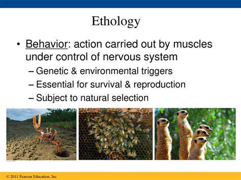 EnvironmentalTriggersandLearnedBehaviors