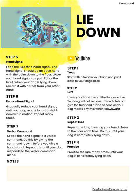 Preventing Jumping on People with "Sit" and "Lie Down"
