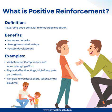 PatienceandPositiveReinforcement:KeystoSuccessfulSocialization