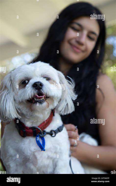 Introducing Your Puppy to the Garden: Safe Exploration and Socialization
