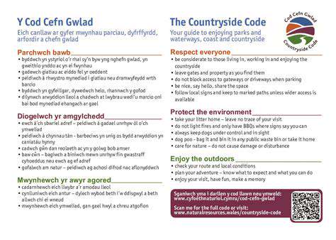 StrategicSocializationfortheCountryside